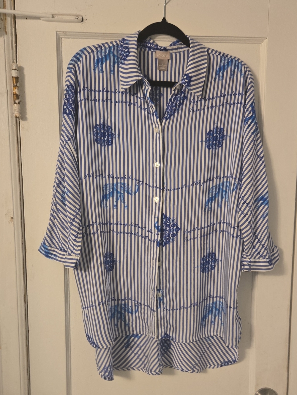 Blue Striped Floral-Print Button-Up Shirt - Woman's